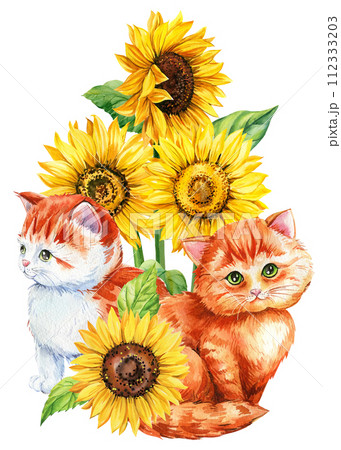 Watercolor cat and sunflowers on a white background, Autumn postcard with baby animal, flowers. Cute ginger kittens  112333203