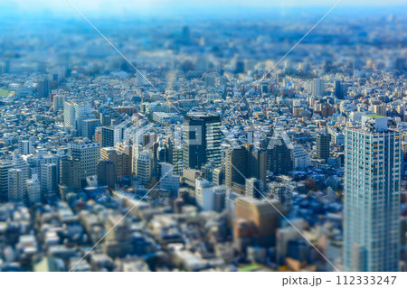 都庁展望台から見た街並み 112333247