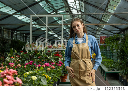 A girl with a houseplant in a greenhouse. A girl with a houseplant in a greenhouse. 112333548