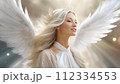 愛と美の女神 112334553