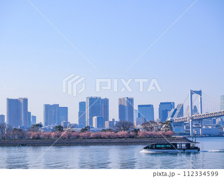 （東京都）お台場海浜公園を出る遊覧船 112334599