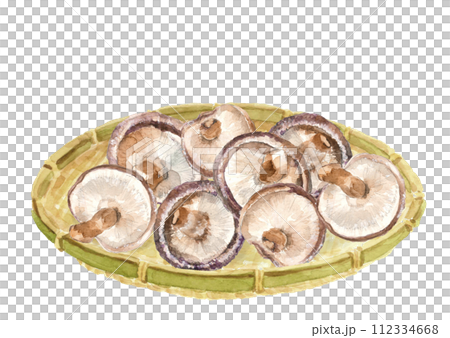 水彩で描いたザルに盛った椎茸のイラスト【手描き】白バック 透過背景 水彩で描いたザルに盛った椎茸のイラスト【手描き】白バック 透過背景 112334668
