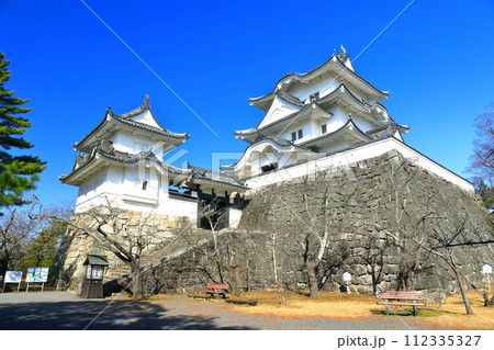 【三重県】快晴の伊賀上野城 112335327