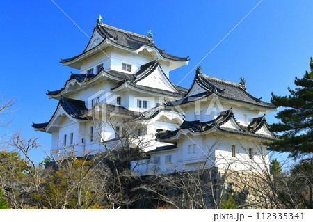 【三重県】快晴の伊賀上野城 112335341