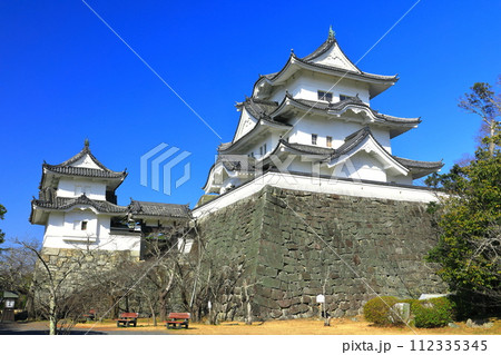 【三重県】快晴の伊賀上野城 112335345