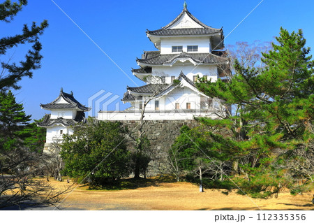 【三重県】快晴の伊賀上野城 112335356