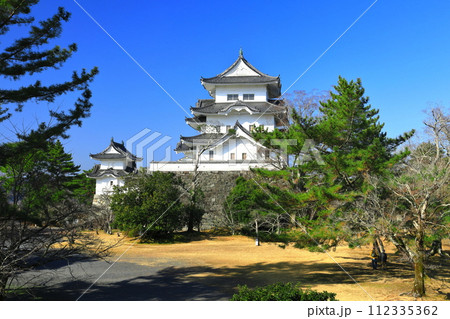 【三重県】快晴の伊賀上野城 【三重県】快晴の伊賀上野城 112335362