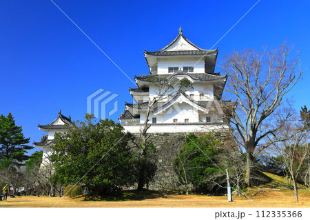 【三重県】快晴の伊賀上野城 112335366