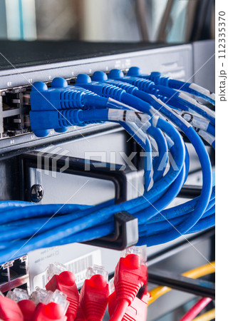 blue patch cables connected to ethernet ports of the switch blue patch cables connected to ethernet ports of the switch 112335370