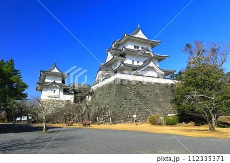 【三重県】快晴の伊賀上野城 112335371