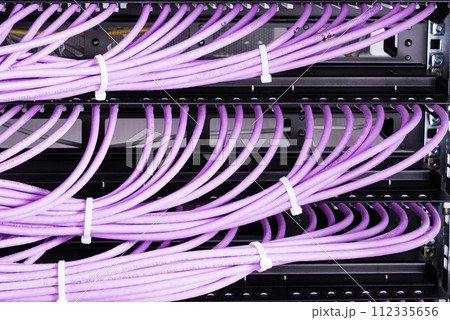 bunch of patch network cables sorted in rack cabinet, leading from patch panel in the server rack in the data center room bunch of patch network cables sorted in rack cabinet, leading from patch panel in the server rack in the data center room 112335656