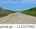 unpaved dirt road in saemangeum reclaim land, Gunsan-si, South Korea.  112337462