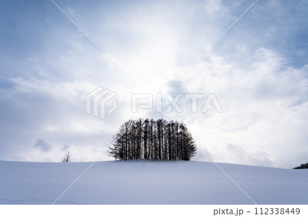 北海道美瑛の丘の風景 112338449