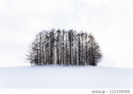 北海道美瑛の丘の風景 112338456