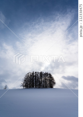 北海道美瑛の丘の風景 112338475