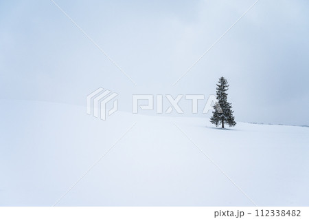 北海道美瑛の丘の風景 112338482