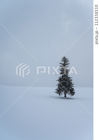 北海道美瑛の丘の風景 112338510