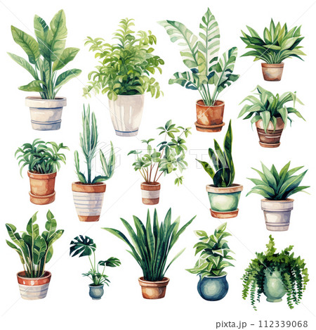 様々な種類の鉢植えの観賞植物の水彩イラストセット 様々な種類の鉢植えの観賞植物の水彩イラストセット 112339068