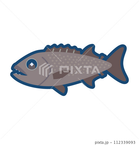 かわいいバラムツのイラスト 112339093
