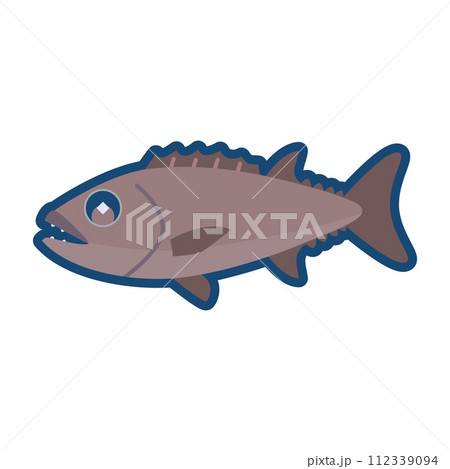 かわいいアブラソコムツのイラスト かわいいアブラソコムツのイラスト 112339094