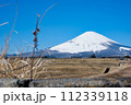 御殿場側から眺める春前の富士山 112339118