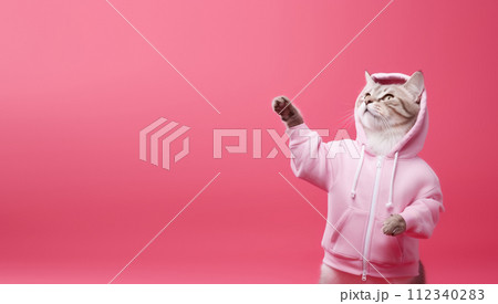 Fashion-forward cat in sunglasses and hoodie strikes a playful pose on a pink background, with ample space for your text 112340283