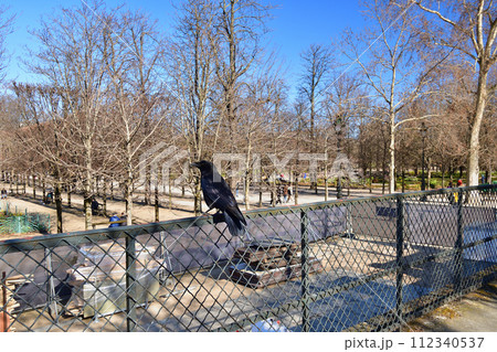 パリ、フランス。冬のチュイルリー公園でフェンスの上に佇むカラス。2022年2月27日撮影。。 パリ、フランス。冬のチュイルリー公園でフェンスの上に佇むカラス。2022年2月27日撮影。。 112340537