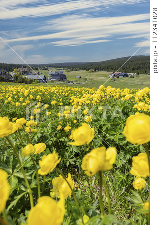 Spring landscape with Jizerka near Korenov, Northern Bohemia, Czech Republic Spring landscape with Jizerka near Korenov, Northern Bohemia, Czech Republic 112341028