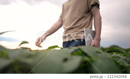 farmer walking through the field. business farming and irrigation concept. a male farmer in a beige T-shirt walks among green plants in a field, holding a tablet in his hands lifestyle farmer walking through the field. business farming and irrigation concept. a male farmer in a beige T-shirt walks among green plants in a field, holding a tablet in his hands lifestyle 112342048