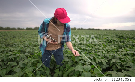 farm worker walks through the field. farming business and irrigation concept. a farmer in red cap and blue shirt with tablet in hand walks among the sprouts of a plant he grew in his field lifestyle farm worker walks through the field. farming business and irrigation concept. a farmer in red cap and blue shirt with tablet in hand walks among the sprouts of a plant he grew in his field lifestyle 112342058
