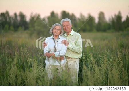 Beautiful senior couple relaxing and posing in the summer park 112342186