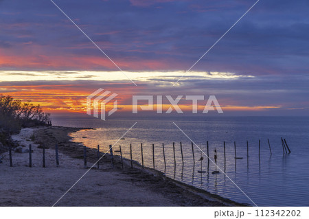 Typical landscape during sunrise in Parc Naturel regional de Camargue, Provence, France 112342202