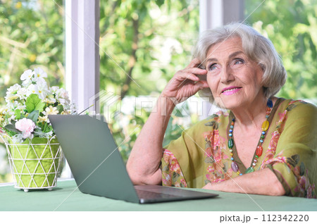 Senior woman with laptop in country house Senior woman with laptop in country house 112342220
