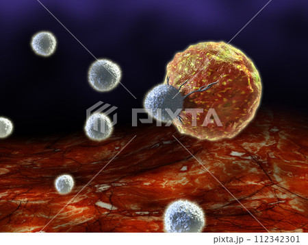 T-cells 112342301