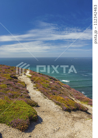 Landscape in Cap de la Chevre, Crozon, Brittany, France 112342463
