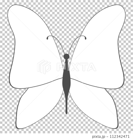 White Butterfly White Butterfly 112342471