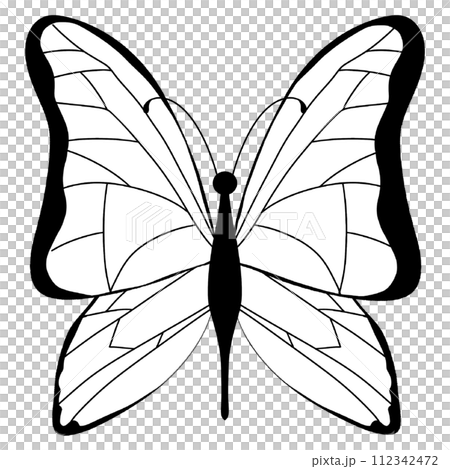 White Butterfly White Butterfly 112342472