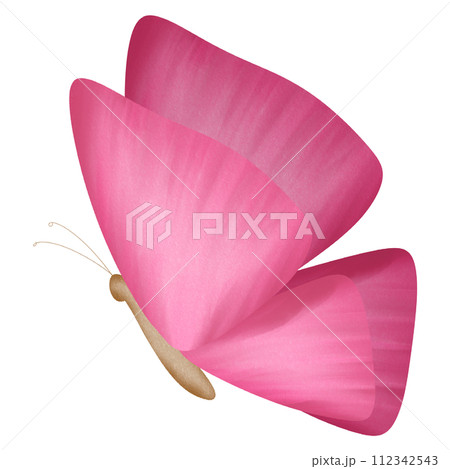 Pink Butterfly 112342543
