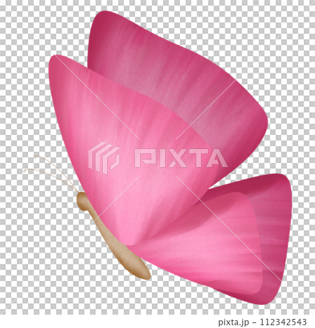 Pink Butterfly 112342543