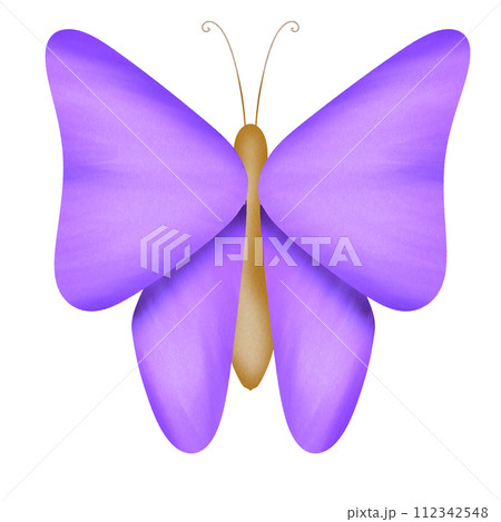 Purple Butterfly 112342548