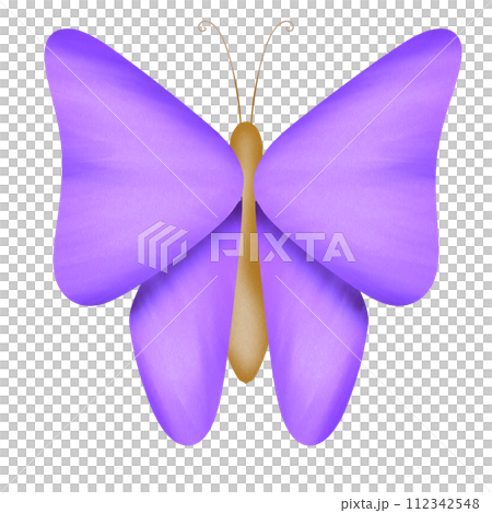 Purple Butterfly 112342548