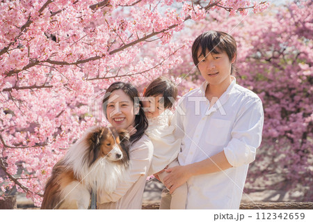 桜の下で撮影された家族写真 桜の下で撮影された家族写真 112342659