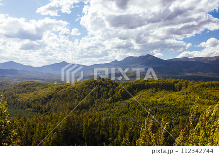 Old Growth Forest in Styx Valley Tasmania Australia 112342744