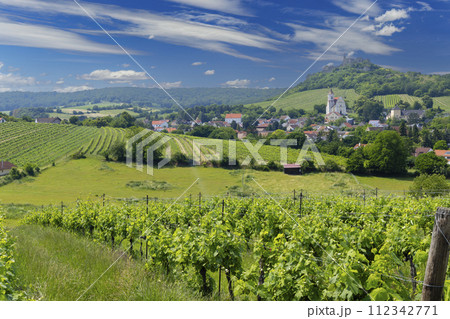 Falkenstein ruins and town with vineyard, Lower Austria, Austria Falkenstein ruins and town with vineyard, Lower Austria, Austria 112342771