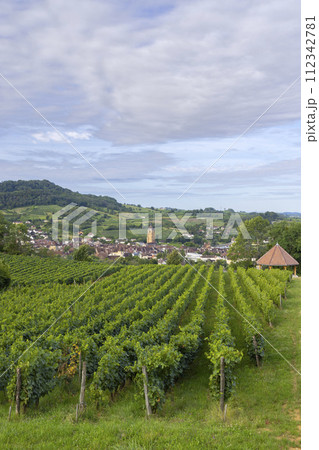 Vineyards with Arbois town, Department Jura, Franche-Comte, France Vineyards with Arbois town, Department Jura, Franche-Comte, France 112342781