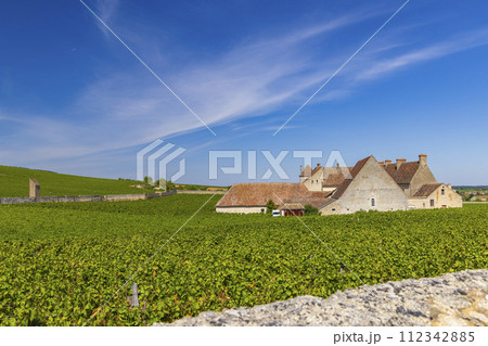 Clos de Vougeot castle, Cote de Nuits, Burgundy, France Clos de Vougeot castle, Cote de Nuits, Burgundy, France 112342885