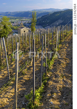 Grand cru vineyard and Chapel of Saint Christopher, Tain l'Hermitage, Rhone-Alpes, France Grand cru vineyard and Chapel of Saint Christopher, Tain l'Hermitage, Rhone-Alpes, France 112342964