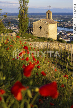 Grand cru vineyard and Chapel of Saint Christopher, Tain l'Hermitage, Rhone-Alpes, France 112342981