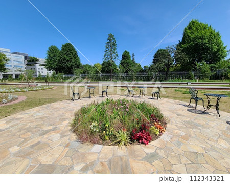 半蔵門苑池 112343321