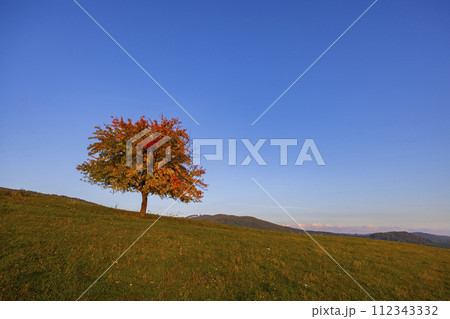 Carpathian mountains landscape, Eastern Slovakia 112343332